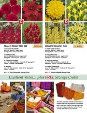 Page 3, 2017 SPRING CAT CAN JPG2