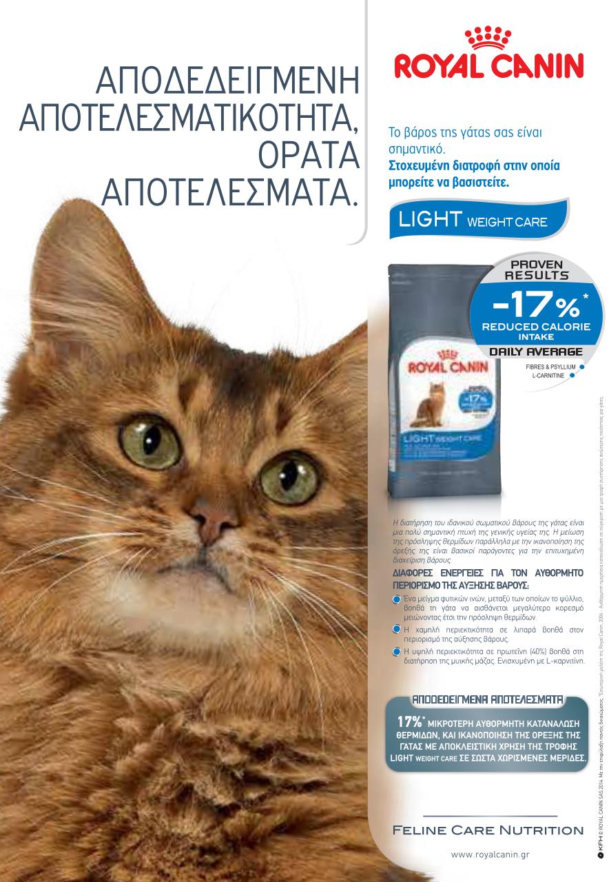 allaboutcats2017.pdf - page 2/12