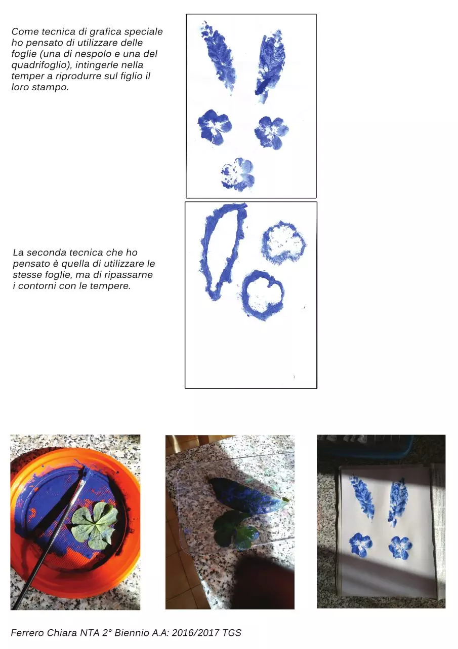 Page 1 of 1, CHIARA FERRERO TGS BN