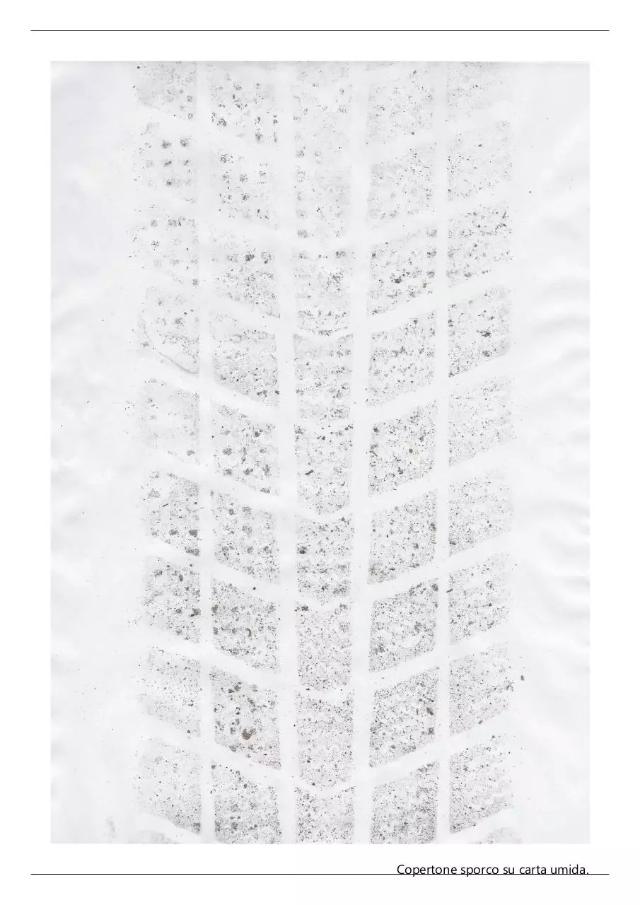 Page 1 of 1, Gabriella Porta TGS BN