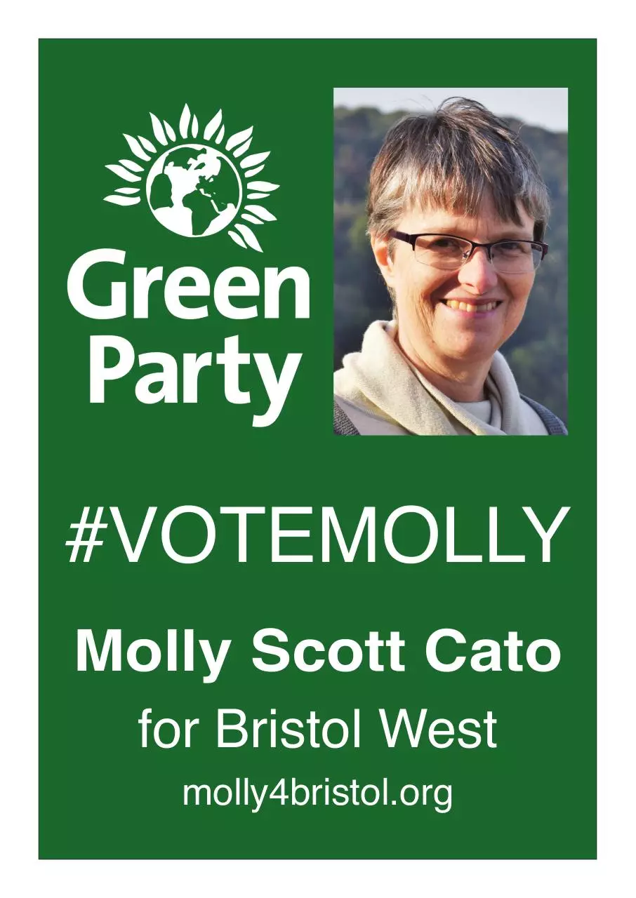 Page 1 of 1, VoteMolly