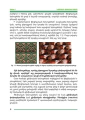 Page 4, bnag 6 xazaryan