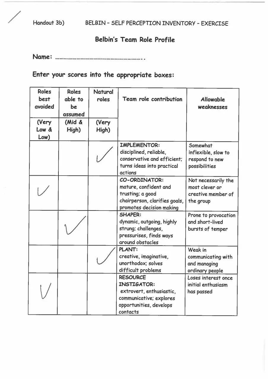 Page 1 of 2, Daniel Coggin Belbin Team Roles