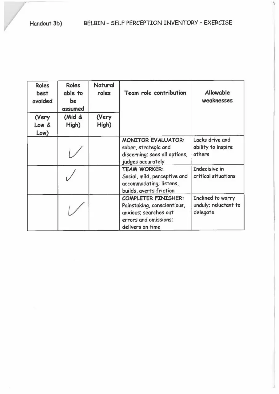 Page 2 of 2, Daniel Coggin Belbin Team Roles