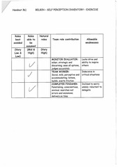 Page 2, Daniel Coggin Belbin Team Roles