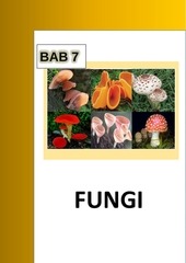 5 modul fungi fix