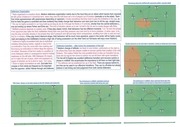 Page 3, villas boas taktik
