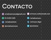 Page 2, Portafolio Ariadna Reyes
