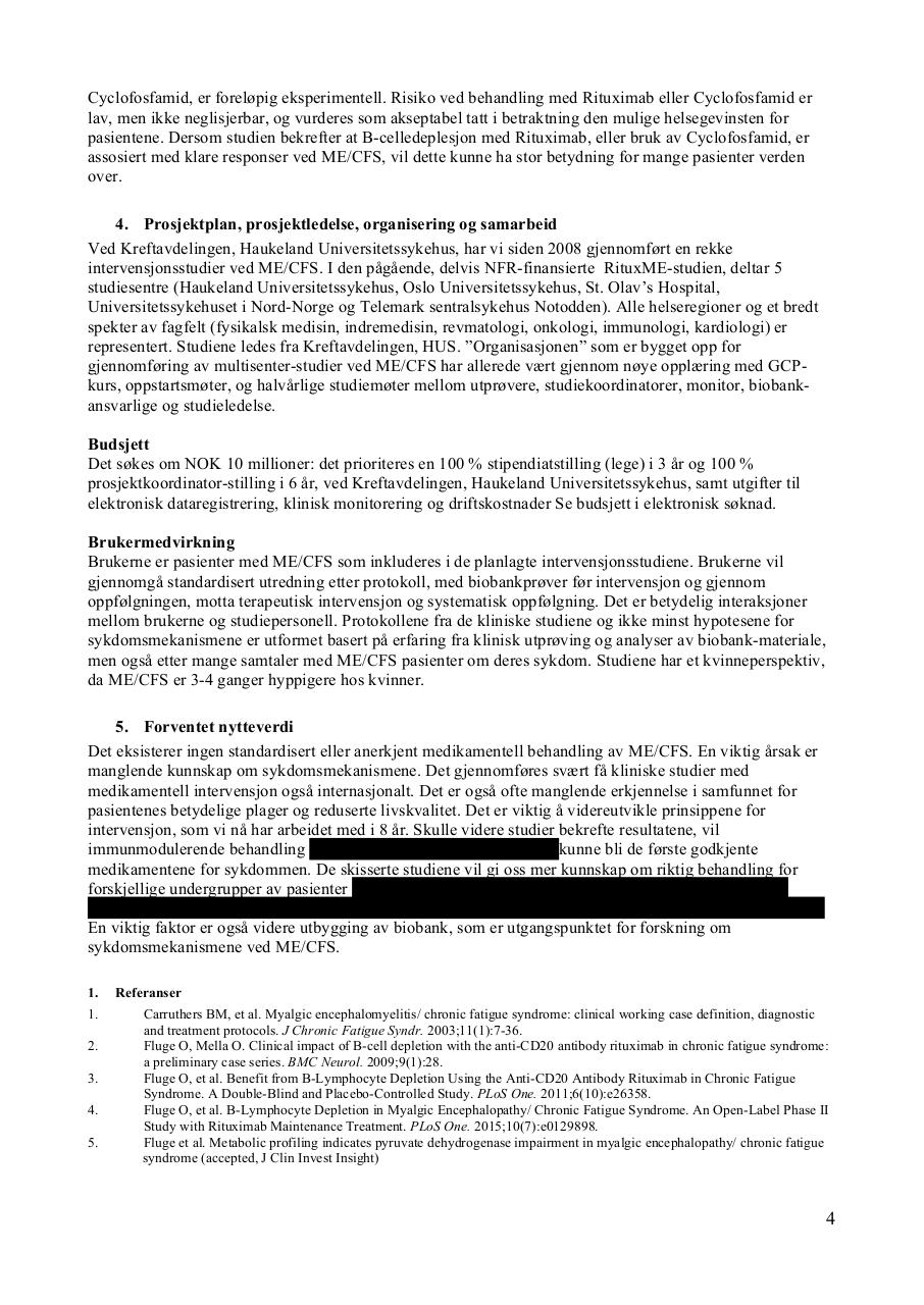 Document preview Prosjektbeskrivelse med sladdet tekst.pdf - page 4/4