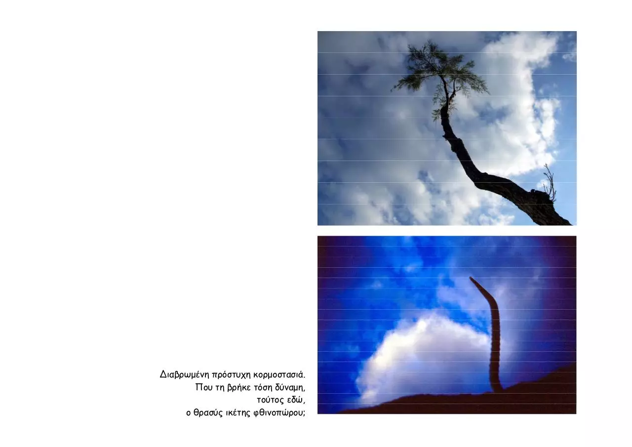 Page 5 of 78, Λεύκωμα Εκποίηση HD e book
