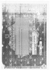 Page 3, documente Turda
