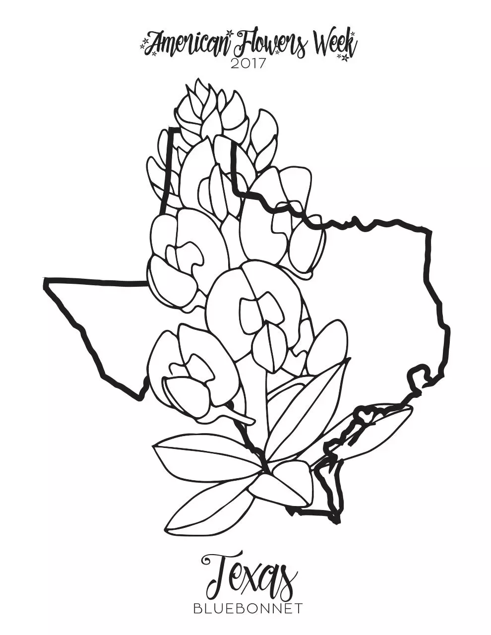Page 1 of 1, TEXAS COLOR CONTEST