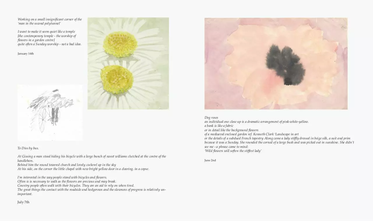 Page 2 of 2, Plants and Gardens just flowers 07.07.17