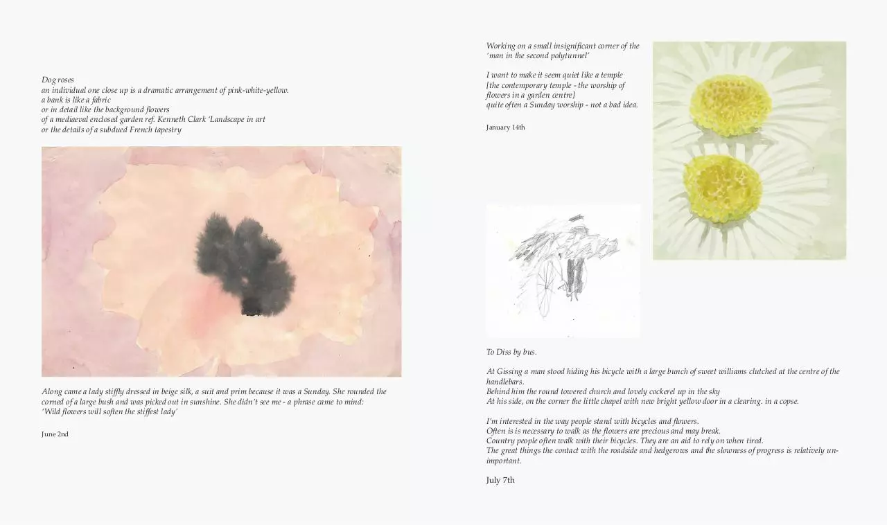 Page 2 of 2, Plants and Gardens just flowers 07.07.17