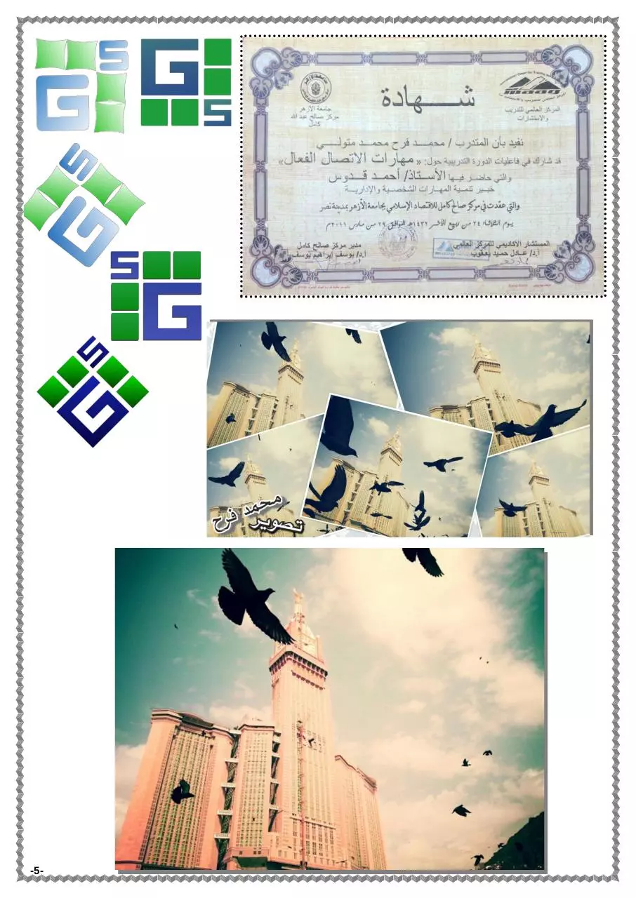 Page 5 of 7, CV M.F Egypt