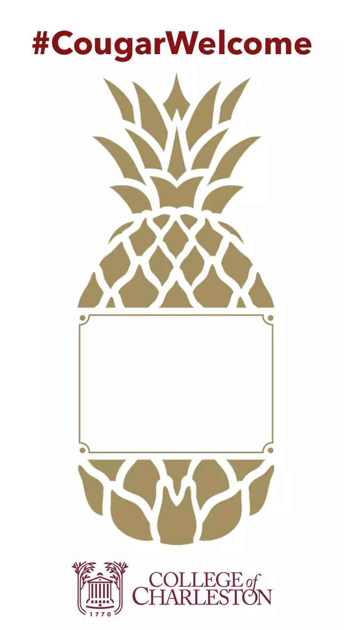 Page 1 of 1, Downloadable Pineapple for Website