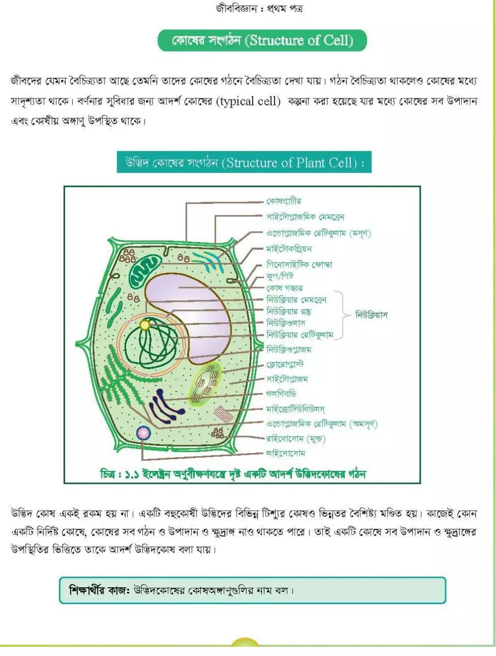 Page 5 of 53, Biology 1 12 17