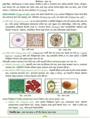 Page 3, Biology 1 12 17