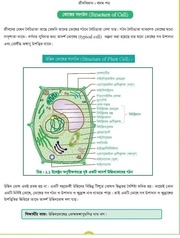 Page 5, Biology 1 12 17