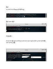 Page 4, andro rat