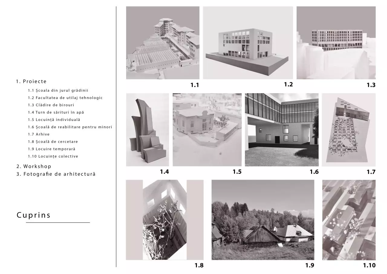 Page 4 of 75, Portofoliu+