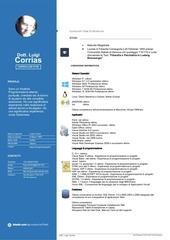 Page 2, Curriculum Luigi Corrias