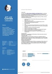 Page 4, Curriculum Luigi Corrias