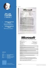 Page 5, Curriculum Luigi Corrias