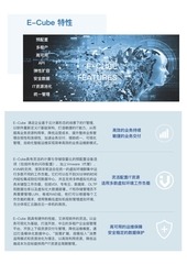 Page 4, e cube introduction
