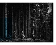 Page 5, Catalogue Mondraker Bike 2018