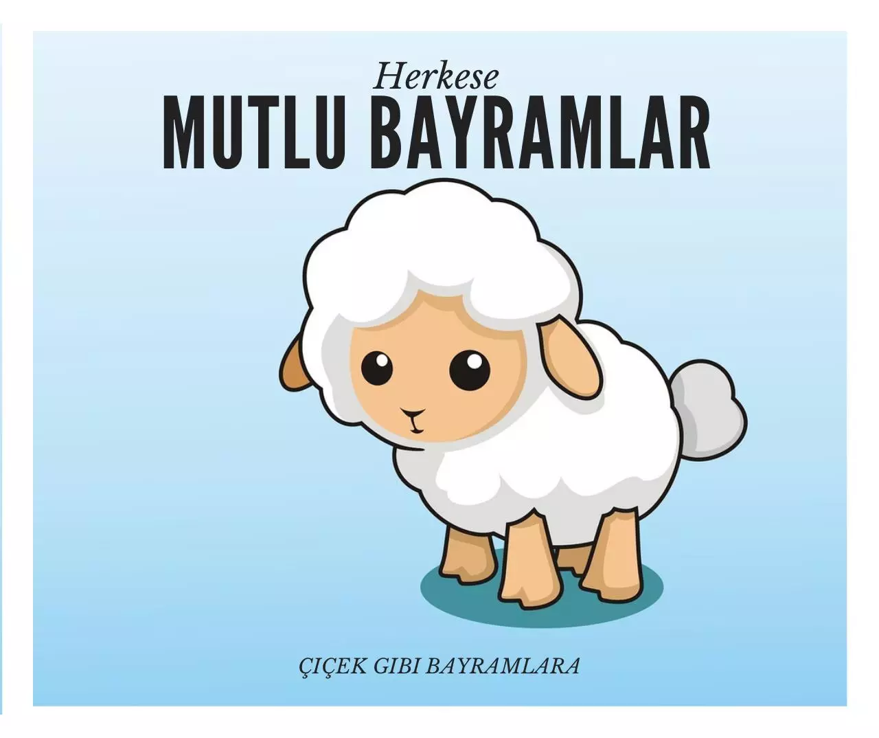 Page 1 of 1, cicek bayram