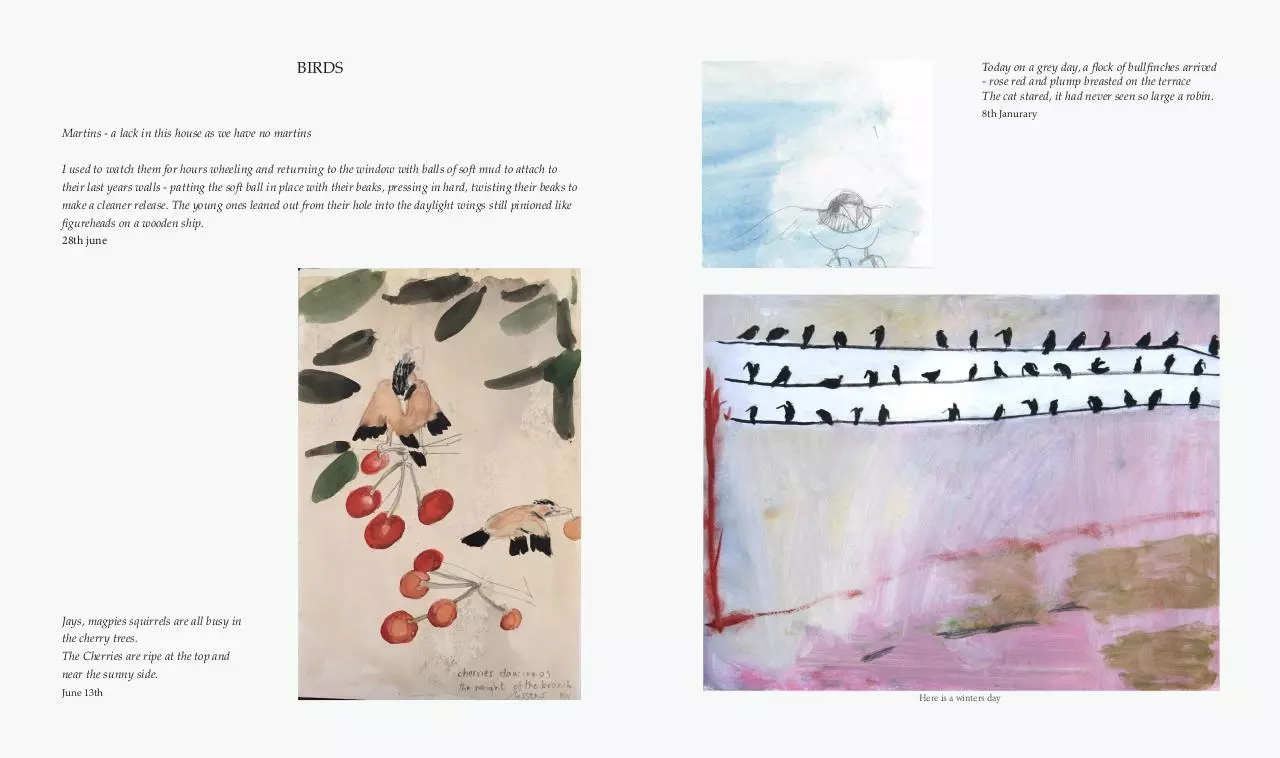 Page 5 of 13, Animals 05.09.17