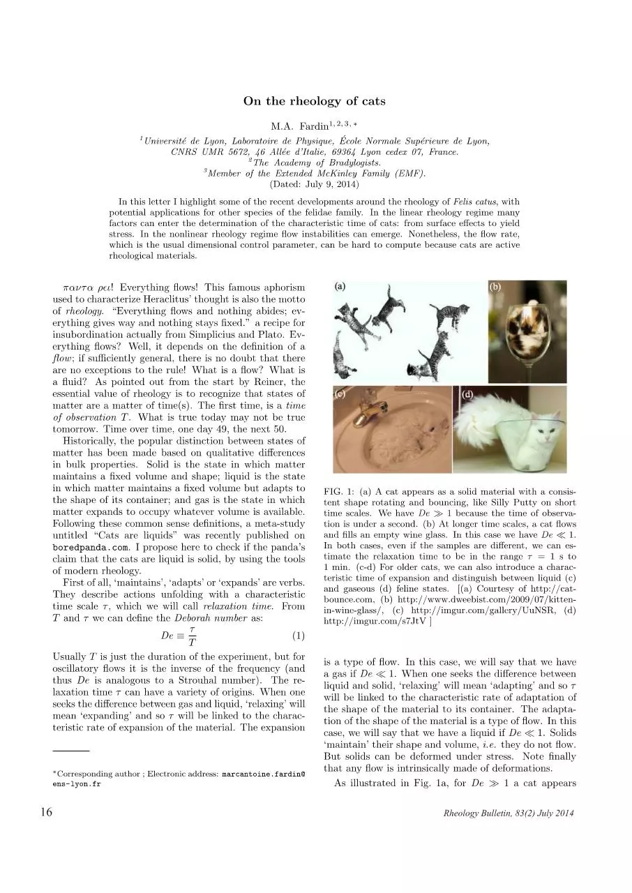 Page 1 of 3, cat solid liquid