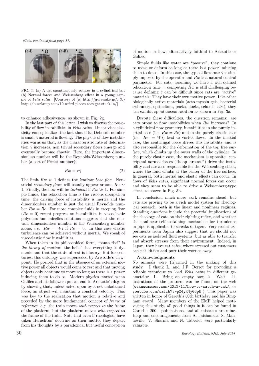 Page 3 of 3, cat solid liquid