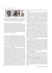 Page 3, cat solid liquid