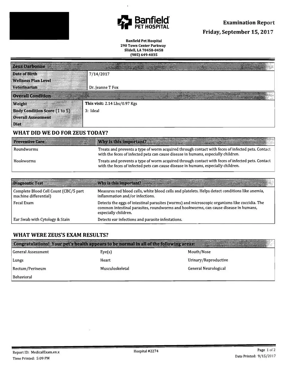 Page 3 of 24, zeustimeline Redacted