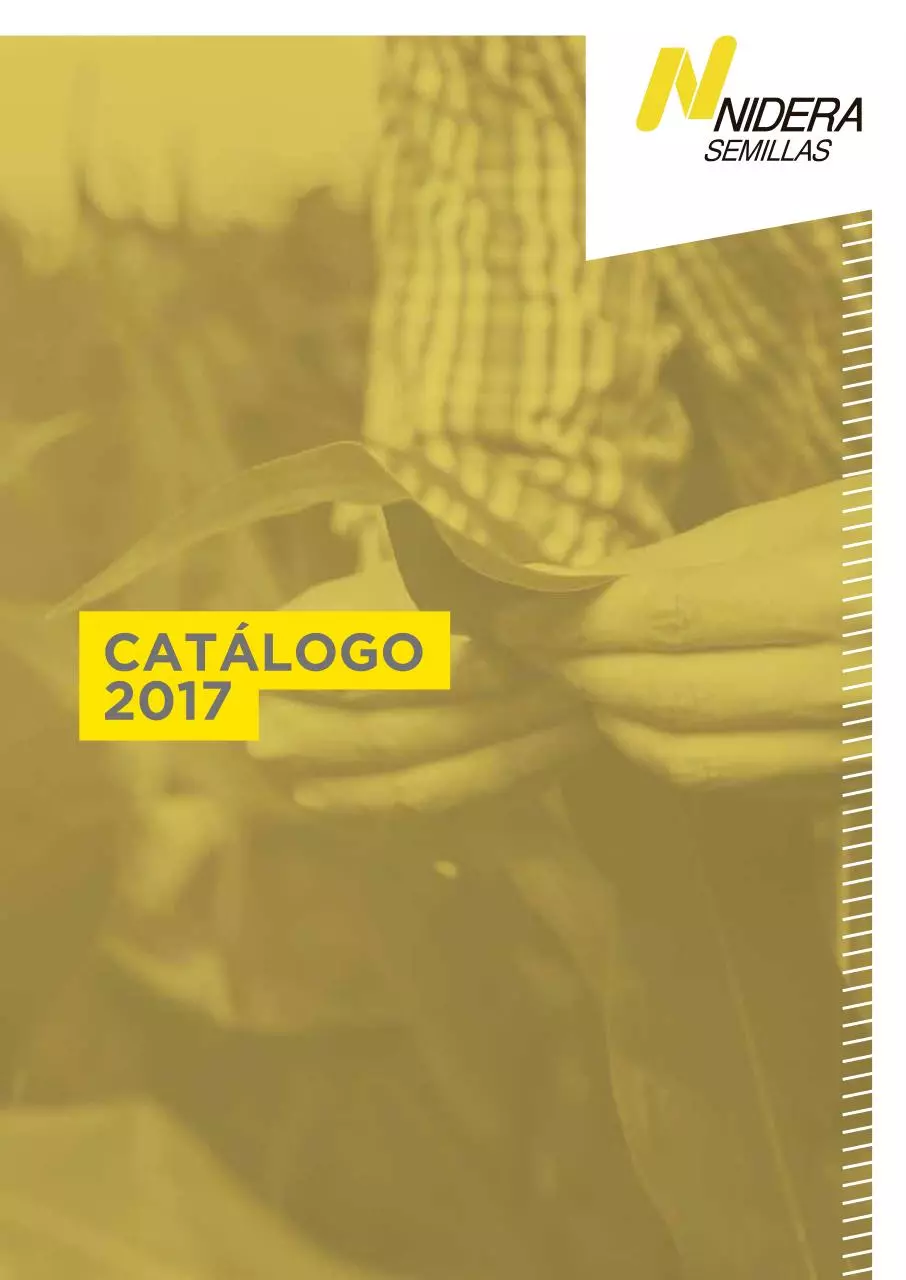 Page 2 of 43, CATALOGO NIDERA 2017 FINAL CURVAS