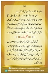 Page 3, Mairaaj E Mustafa