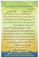 Page 3, Mustaqbil