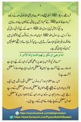 Page 5, Mustaqbil