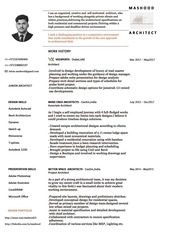 Page 1, Professional CV compressed