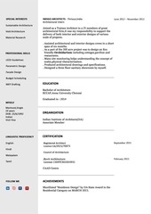 Page 2, Professional CV compressed