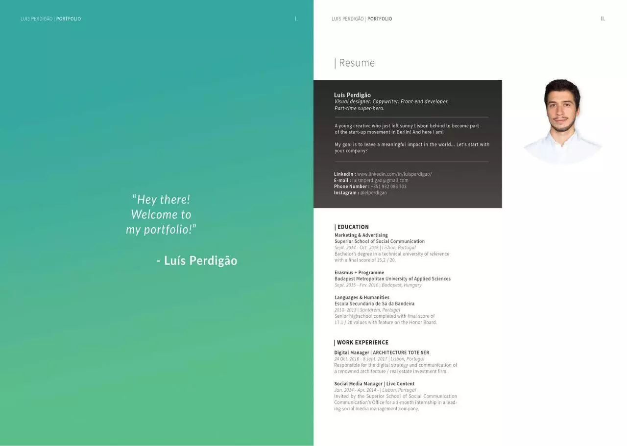 Page 2 of 11, Portfolio Luis Perdigao