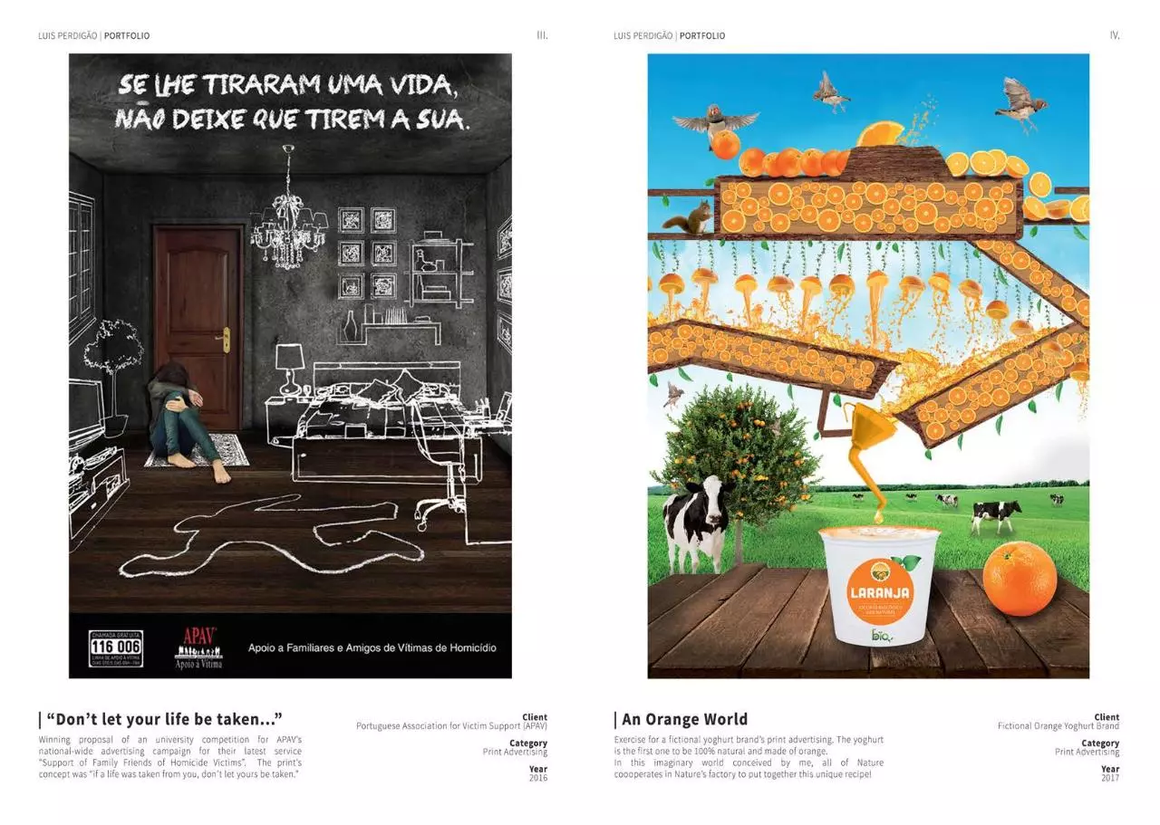 Page 3 of 11, Portfolio Luis Perdigao