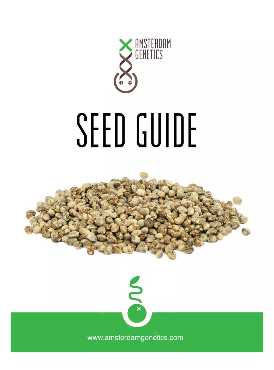 Page 1 of 32, Amsterdam Genetics Mini Seed Guide 2016