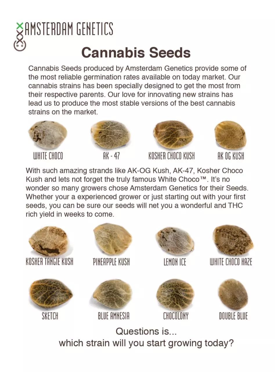 Page 4 of 32, Amsterdam Genetics Mini Seed Guide 2016