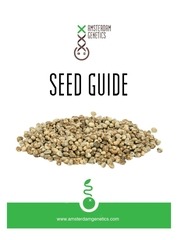 Page 1, Amsterdam Genetics Mini Seed Guide 2016
