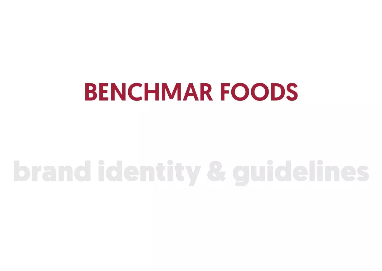 Page 1 of 10, Branding Guidelines