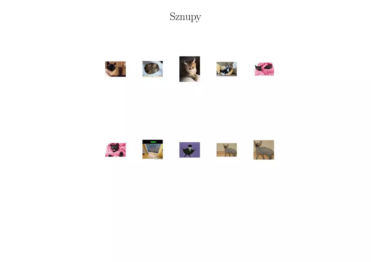Page 1 of 11, ciaramba