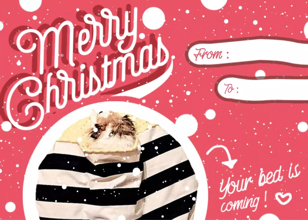 Page 1 of 1, KLAUSING CHRISTMAS GIFT CARD